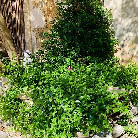 Appartement Avec Jardin Privatif Cazouls-lès-Béziers Esterno foto