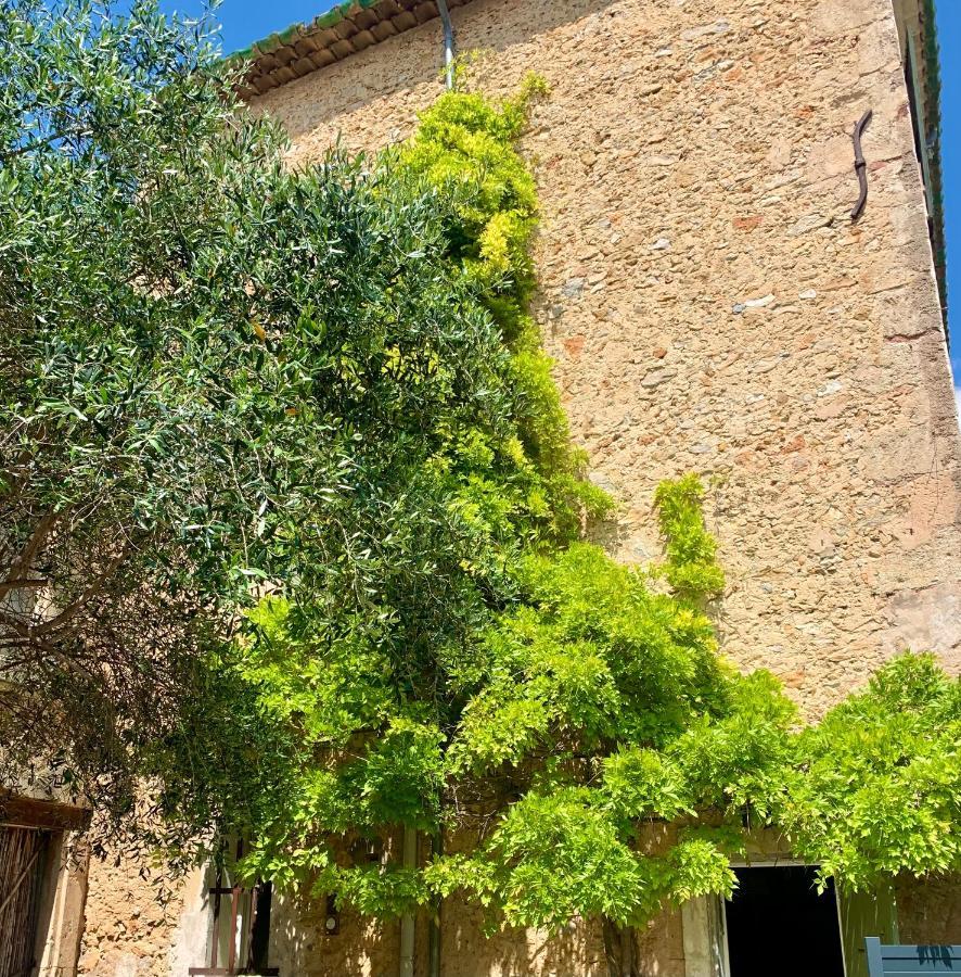 Appartement Avec Jardin Privatif Cazouls-lès-Béziers Esterno foto